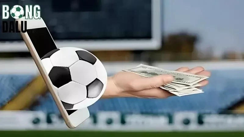 Tìm hiểu và phân tích đội bóng tham gia thi đấu